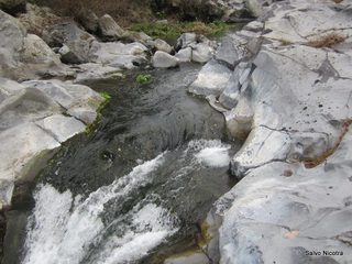 cantara gurne06-01-2014 19-26-38